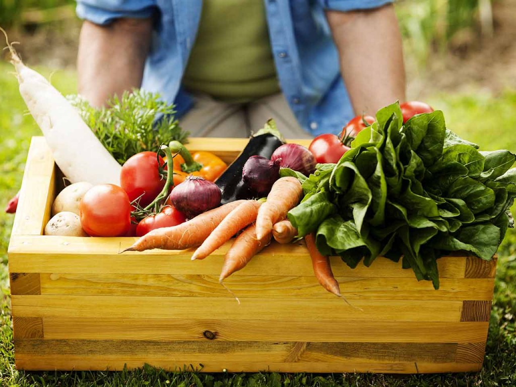 when-can-i-start-growing-veg