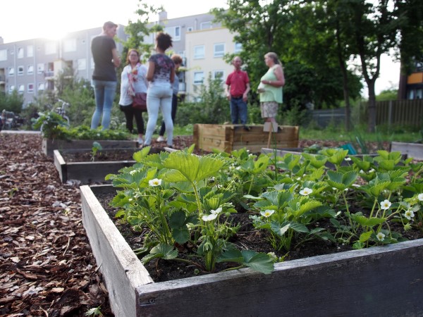 workshop Riebeecktuin