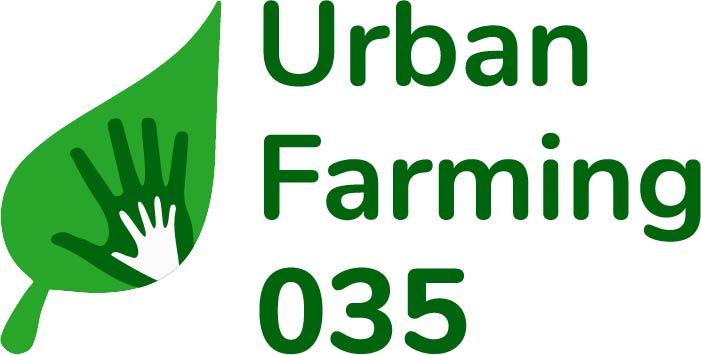 2021 logo 700x353 rechthoek